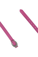 Ремень женский PDW17. Фото 2.