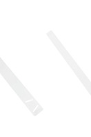 Ремень женский PDW14. Фото 2.